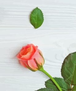 Single Pink Rose On Table Paint By Numbers