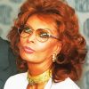 Sophia Loren Paint By Numbers