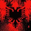 Splatter Albanian Flag Paint By Numbers