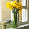 Spring Yellow Flowers Vase Paint By Numbers