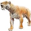 The Saber Toothed Cat Art Paint By Numbers