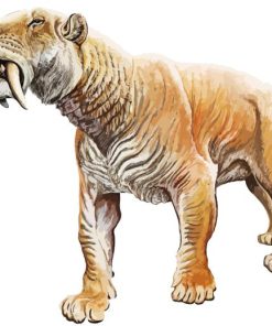 The Saber Toothed Cat Art Paint By Numbers