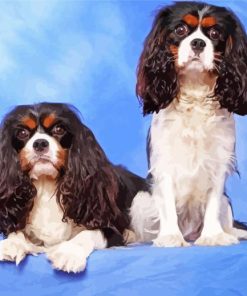 Two Spaniels Dogs Paint By Numbers