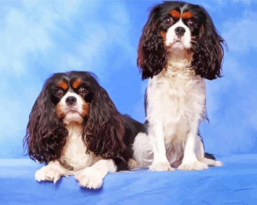 Two Spaniels Dogs Paint By Numbers