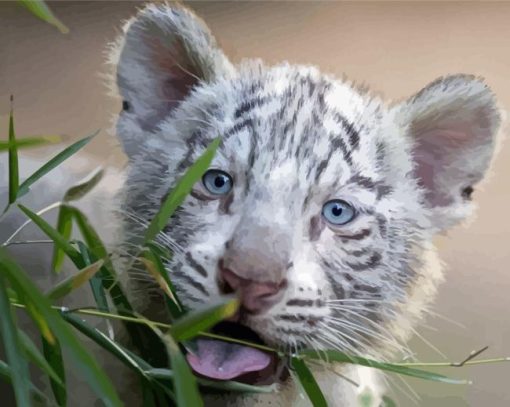 White Tiger Cub Animal Paint By Numbers