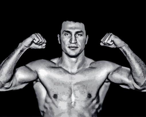 Wladimir Klitschko Paint By Numbers