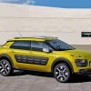 Yellow Citroen Cactus Paint By Numbers