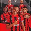 Afc Bournemouth Players Paint By Numbers