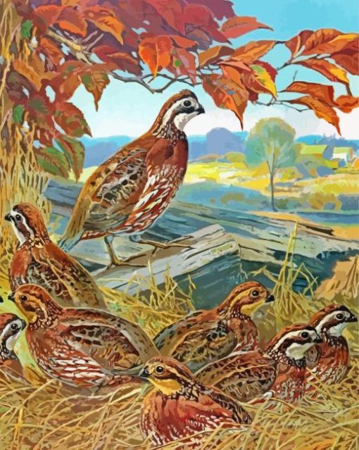 Bevy of Quails Paint By Numbers