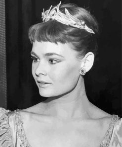 Black And White Judi Dench Paint By Numbers