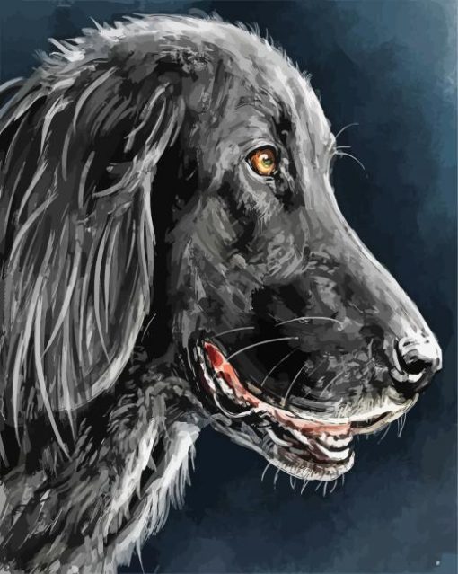 Black Golden Retriever Art Paint By Numbers