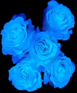 Blue Glowing Flowers Paint By Numbers