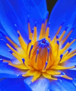 Close Up Blue Water Lily Paint By Numbers