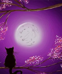 Cool Cat and Moon Paint By Numbers