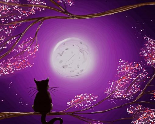 Cool Cat and Moon Paint By Numbers