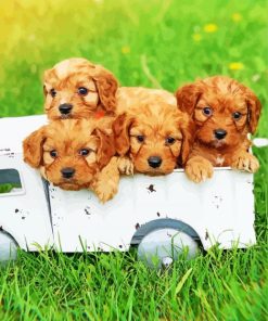 Cute Cavapoo Puppies Paint By Numbers