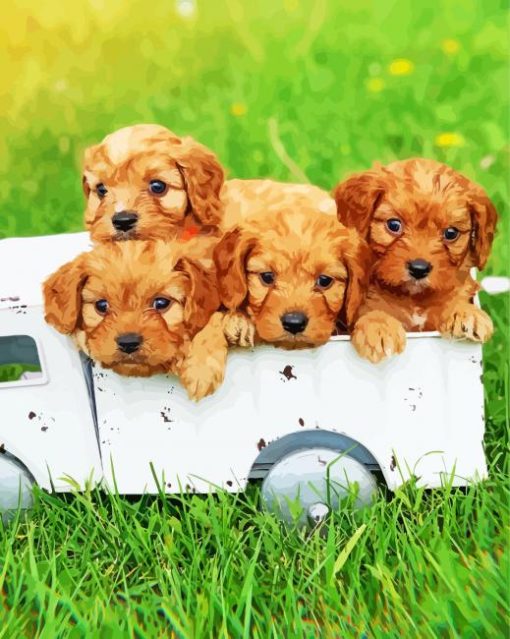 Cute Cavapoo Puppies Paint By Numbers