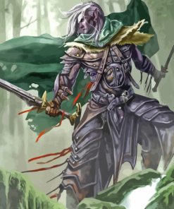 Drizzt Dourden Character Paint By Numbers