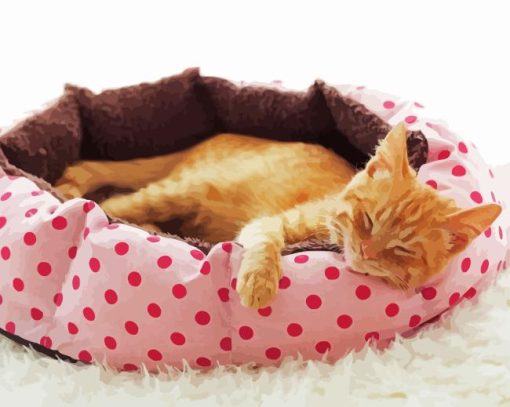 Ginger Cat Bed Paint By Numbers