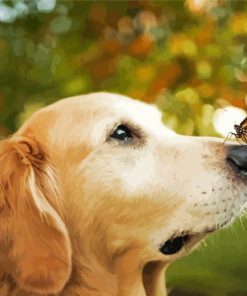 Golden Retriever with Butterfly Paint By Numbers