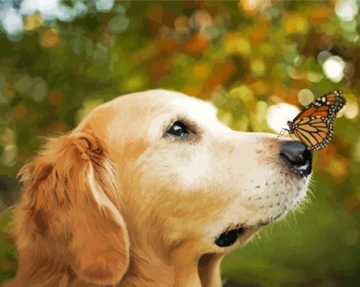 Golden Retriever with Butterfly Paint By Numbers