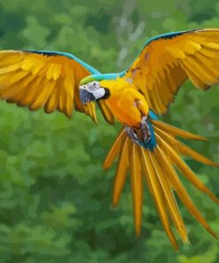 Macaw Flying Bird Paint By Numbers