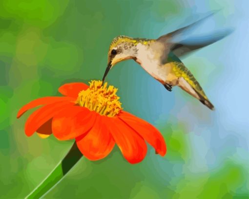 Mexican Sunflower With Hummingbird Paint By Numbers