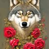 Pink Roses Wolf Paint By Numbers