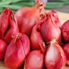 Red Shallots Paint By Numbers