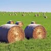 Round Hay Bales In Green Field Paint By Numbers