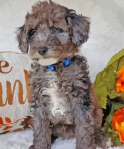 Silver Goldendoodle Puppy Paint By Numbers