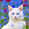 White Cat in a Garden Paint By Numbers