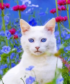 White Cat in a Garden Paint By Numbers