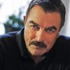 Actor Tom Selleck Paint By Numbers