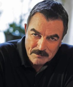 Actor Tom Selleck Paint By Numbers