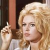 Actress Bridget Bardot Paint By Numbers