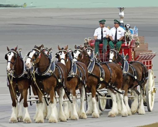 Budweiser Clydesdales Carriage Horses Paint By Numbers