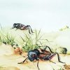 Cricket Insects Art Paint By Numbers