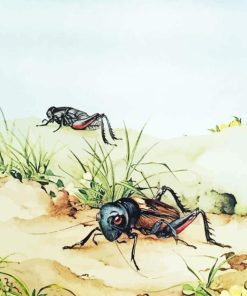 Cricket Insects Art Paint By Numbers