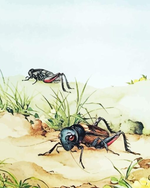 Cricket Insects Art Paint By Numbers