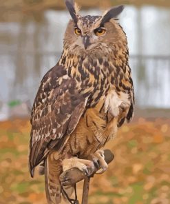 Eurasian Eagle Owl Bird Paint By Numbers