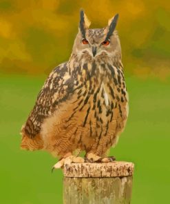 Eurasian Eagle Owl Paint By Numbers