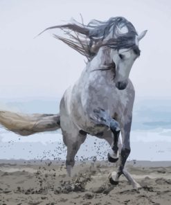 Grey Horse at The Beach Paint By Numbers