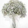 Gypsophila Bouquet Paint By Numbers