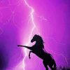 Horse With Lightning Silhouette Paint By Numbers