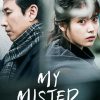 My Mister Poster Paint By Numbers