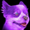 Purple Puppy Head Paint By Numbers