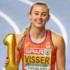 The Dutch Nadine Visser Paint By Numbers