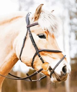 Beige Horse Head Paint by Numbers