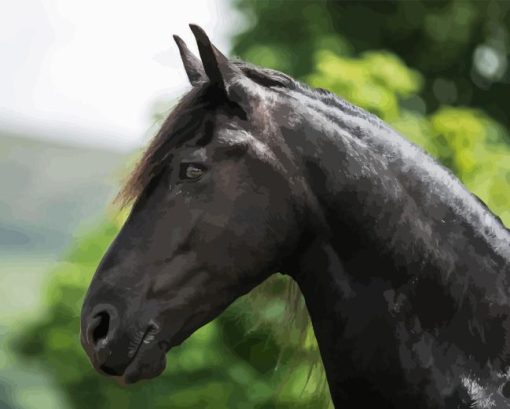 Black Friesian Horse Paint By Numbers